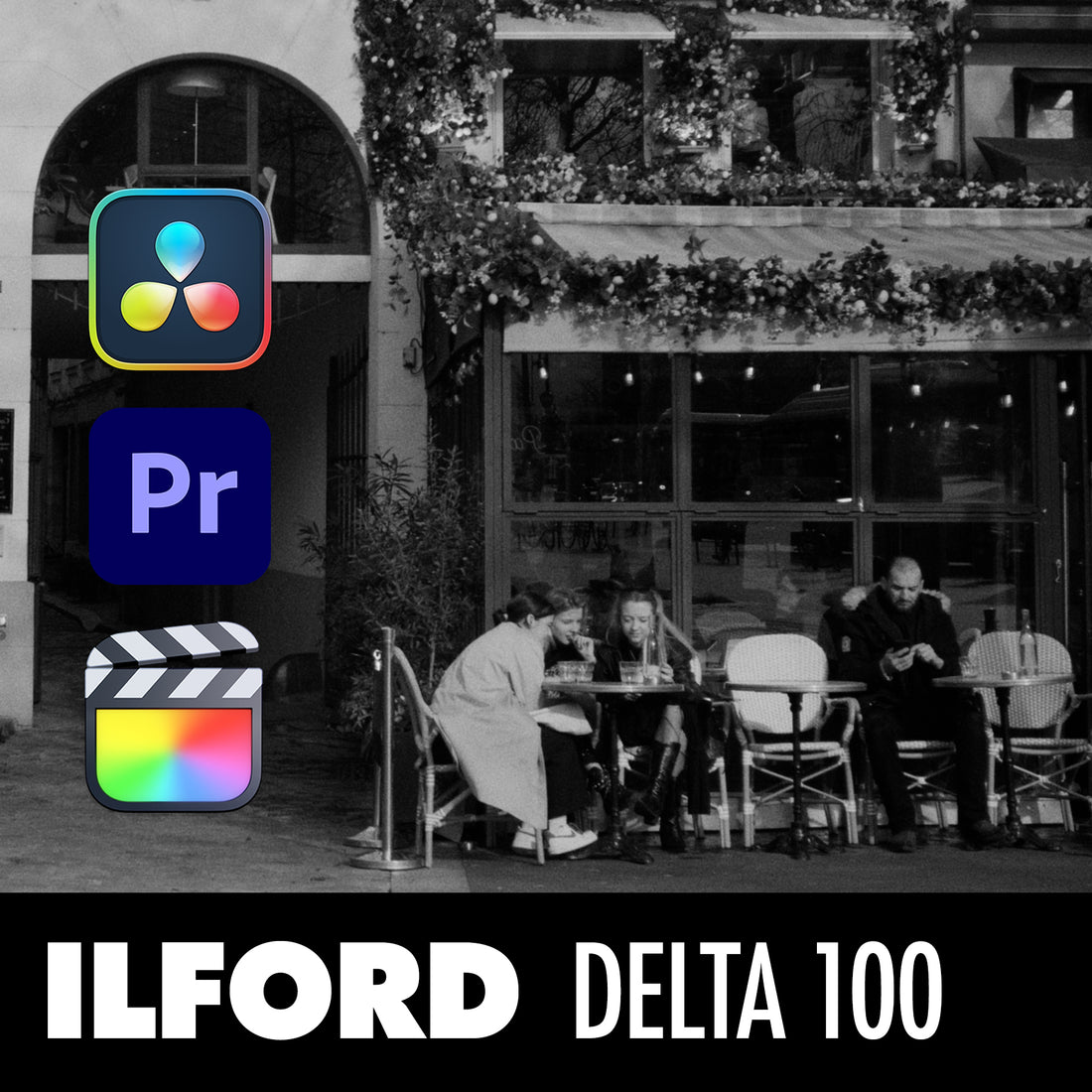 Ilford Delta 100 Film Emulation LUT