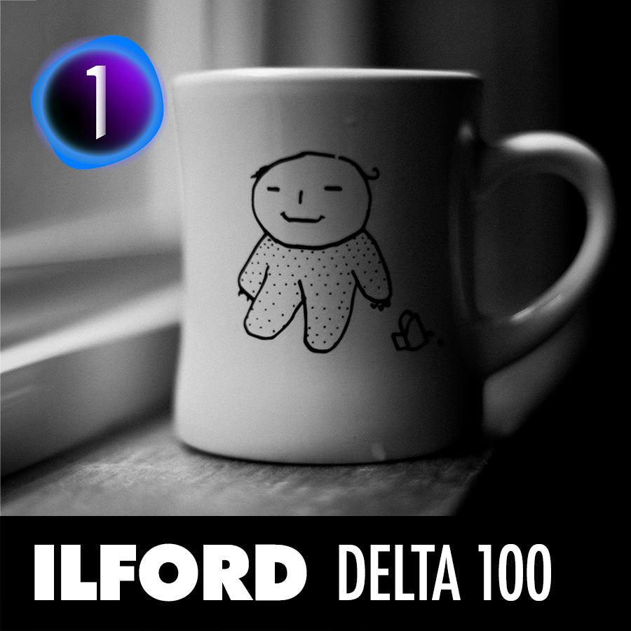 Ilford Delta 100 Film Emulation Capture One Style