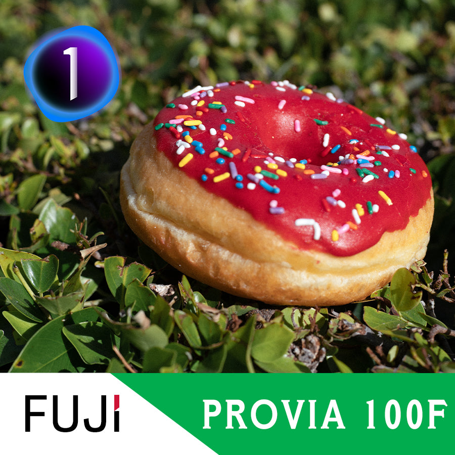 Fujifilm Provia 100F Film Emulation Capture One Style