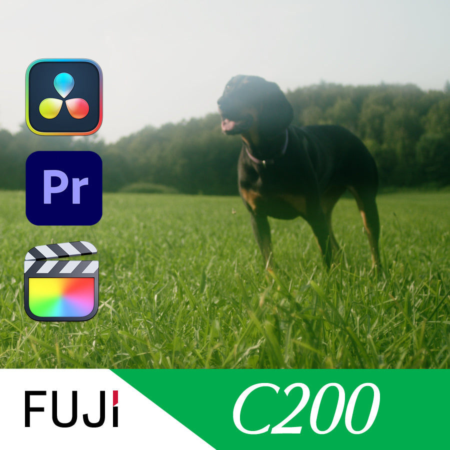 Fujifilm c200 Film Emulation LUT
