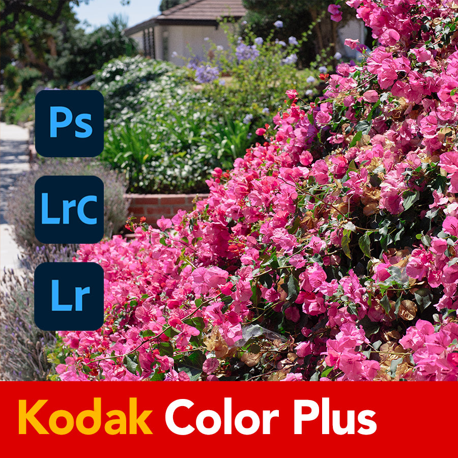 Color Plus Film Emulation Lightroom Preset