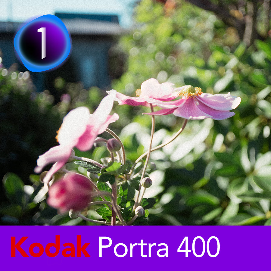 Portra 400 Film Emulation Capture One Style