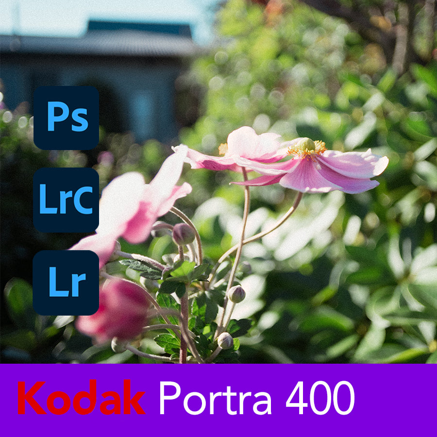 Portra 400 Film Emulation Lightroom Preset