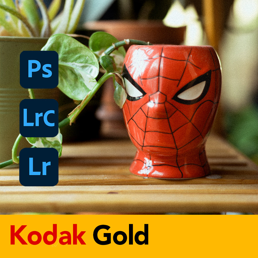 Kodak Gold Film Emulation Lightroom Preset