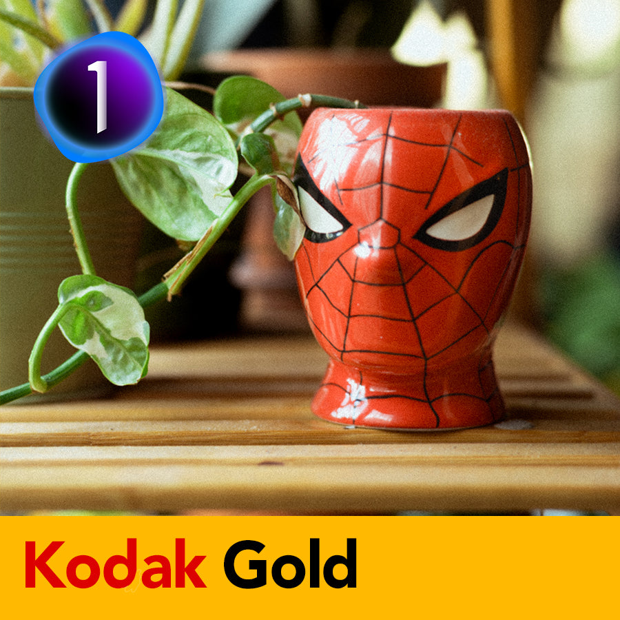 Kodak Gold Film Emulation Capture One Style