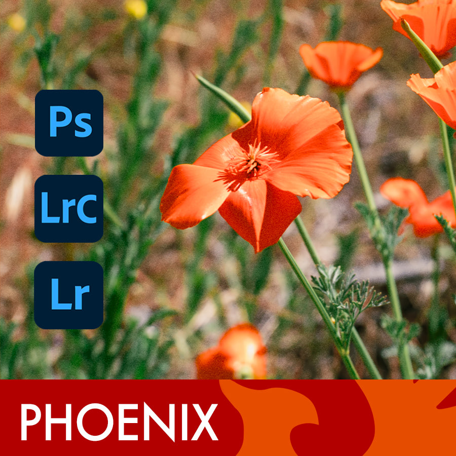 Harman Phoenix 200 Film Emulation Lightroom Preset