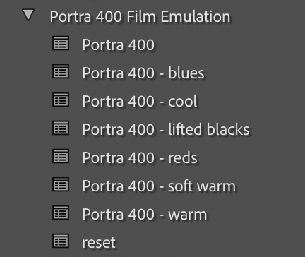 Portra 400 Film Emulation Lightroom Preset