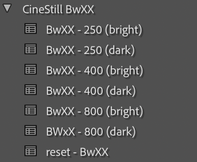CineStill BwXX Film Emulation Lightroom Preset