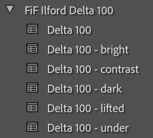 Ilford Delta 100 Film Emulation Lightroom Preset