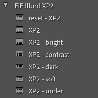 Ilford XP2 Film Emulation Lightroom Preset