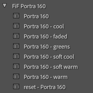 Portra 160 Film Emulation Lightroom Preset