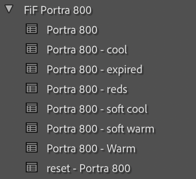Portra 800 Film Emulation Lightroom Preset