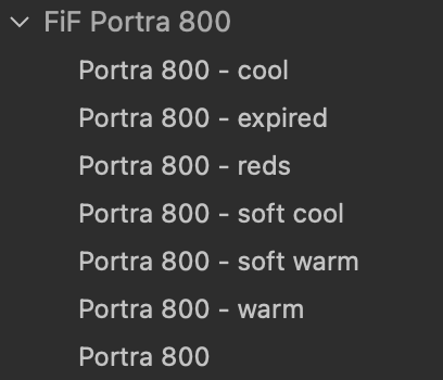 Portra 800 Film Emulation Capture One Style