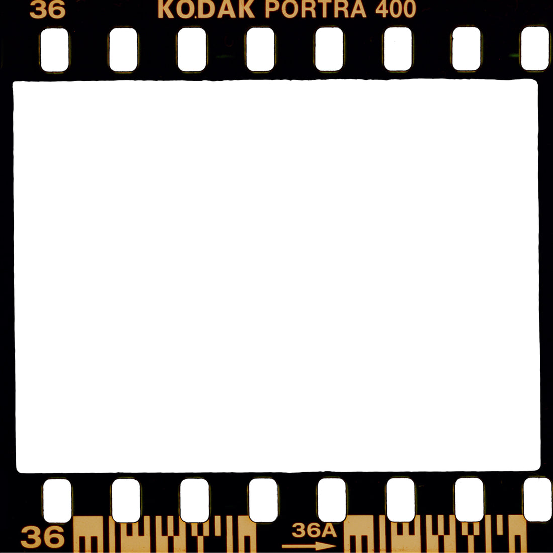 Film Emulation Preset Collection ( + Film Frame Borders)