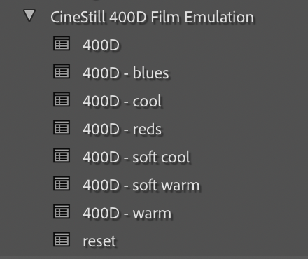 CineStill 400D Film Emulation Lightroom Preset