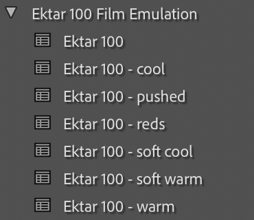 Ektar 100 Film Emulation Lightroom Preset