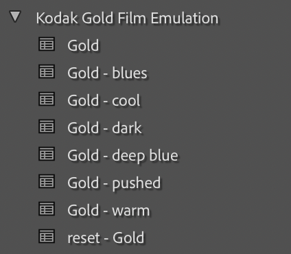 Kodak Gold Film Emulation Lightroom Preset
