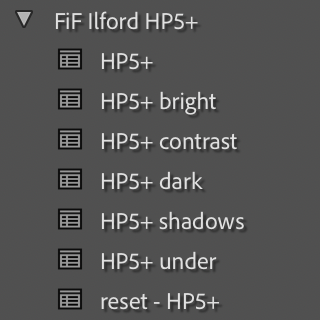 Ilford HP5+ Film Emulation Lightroom Preset