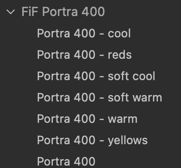 Portra 400 Film Emulation Capture One Style