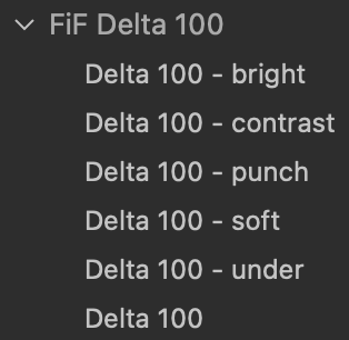 Ilford Delta 100 Film Emulation Capture One Style