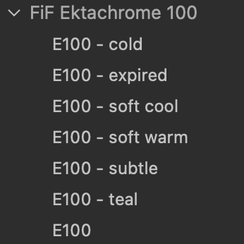 Ektachrome 100 Film Emulation Capture One Style