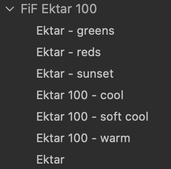 Ektar 100 Film Emulation Capture One Style