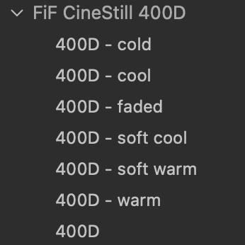 CineStill 400D Film Emulation Capture One Style