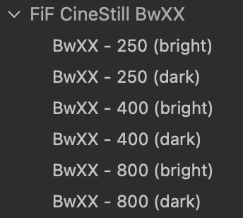 CineStill BwXX Film Emulation Capture One Styles