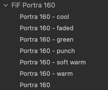 Portra 160 Film Emulation Capture One Style